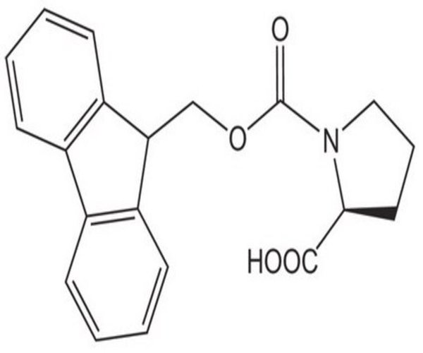 FMOC-PRO-OH 250 G pack 1X1EA