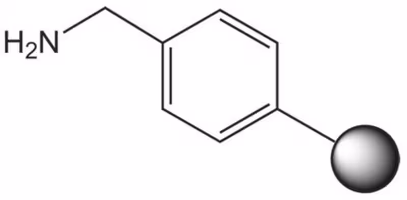 AMINOMETHYLATED POLYSTYRENE HL (100-200 pack 1X1EA