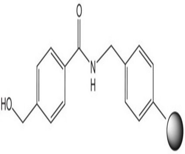 HMBA-AM RESIN 1 G pack 1X1EA