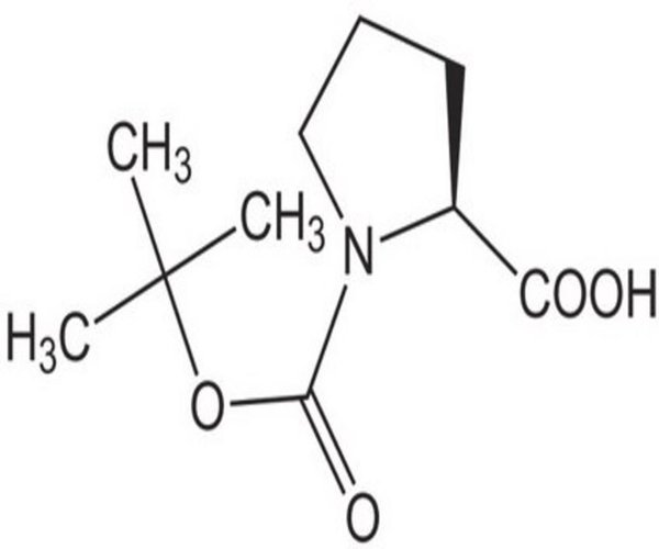 BOC-PRO-OH 100 G pack 1X1EA