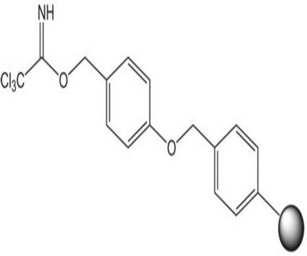 TRICHLOROACETIMIDATE WANG RESIN pack 1X1EA