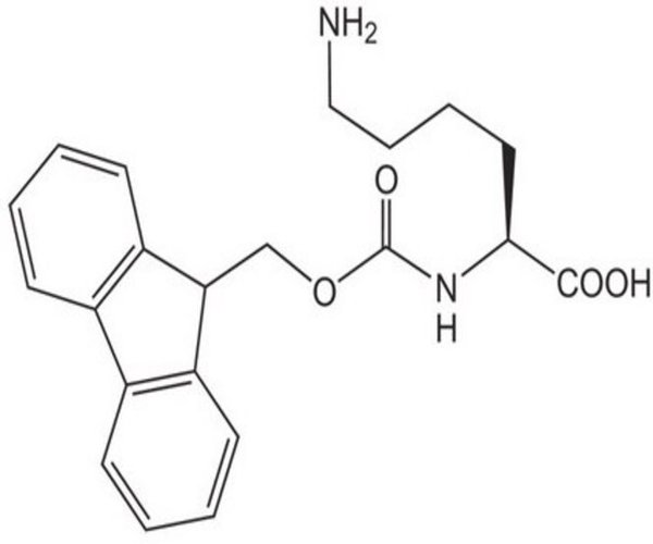 FMOC-LYS-OH 5 G pack 1X1EA