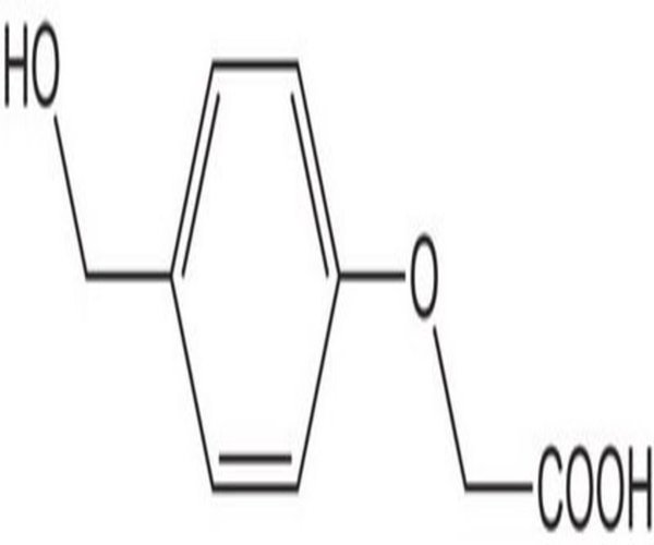 HMPA 25 G pack 1X1EA