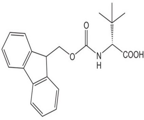 FMOC-D-ALPHA-T-BUTYLGLYCINE 5 G pack 1X1EA
