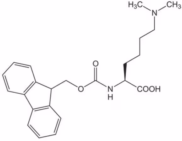 FMOC-LYS(ME)2-OH HCL 1 G pack 1X1EA