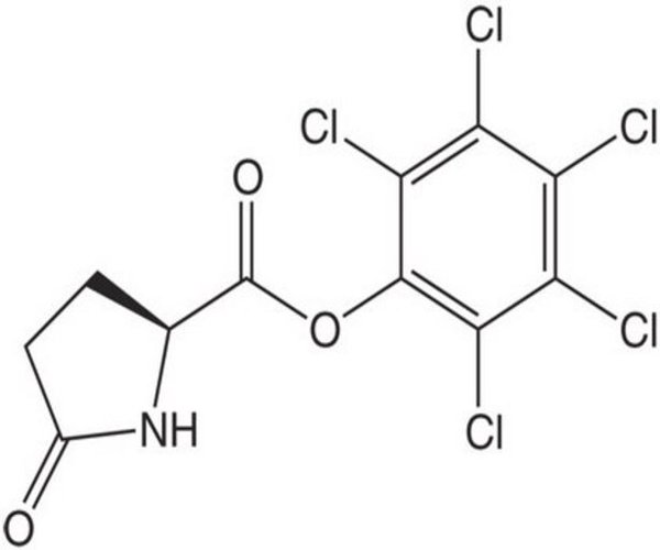 Pyr-OPcp 1 G pack 1X1EA