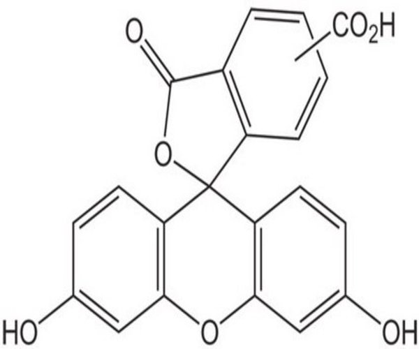 5(6)-CARBOXYFLUORESCEIN 1 G pack 1X1EA