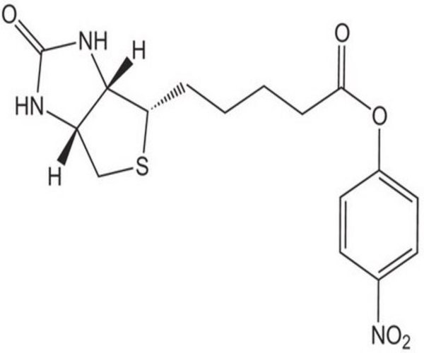 BIOTIN-ONP 1 G pack 1X1EA