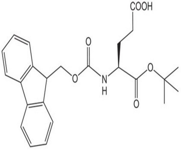 FMOC-GLU-OTBU 1 G pack 1X1EA