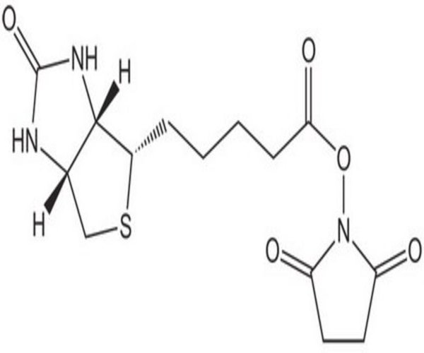 BIOTIN-OSU 1 G pack 1X1EA