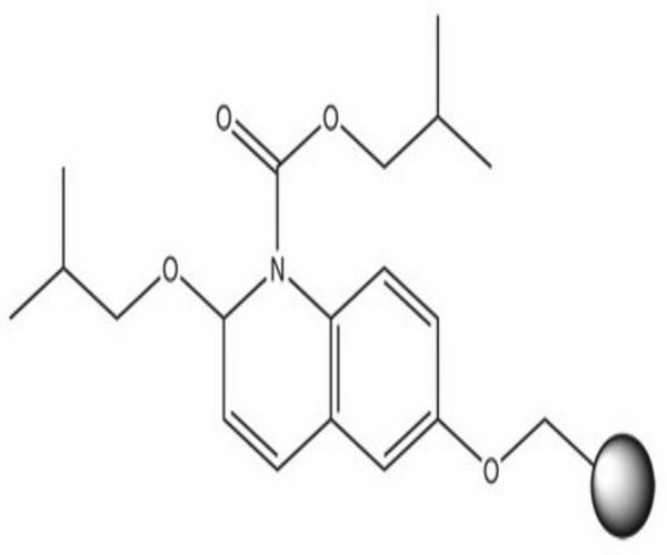 IIDQ-POLYSTYRENE 5 G pack 1X1EA