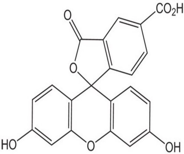 5-CARBOXYFLUORESCEIN 100 MG pack 1X1EA