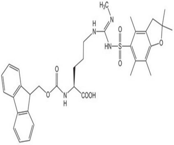 FMOC-ARG(ME,PBF)-OH 1 G pack 1X1EA