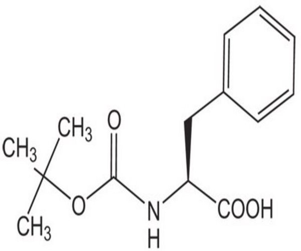 BOC-PHE-OH 100 G pack 1X1EA