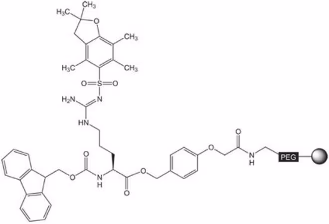 FMOC-ARG(PBF)-NOVASYN TGA 1 G pack 1X1EA