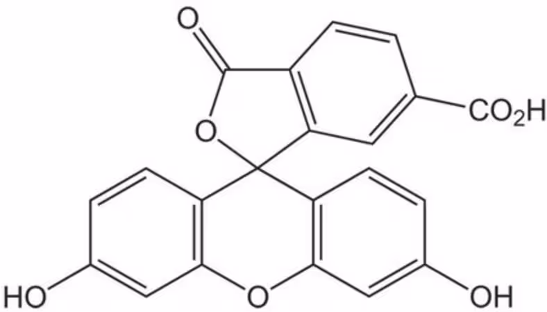6-CARBOXYFLUORESCEIN 100 MG pack 1X1EA