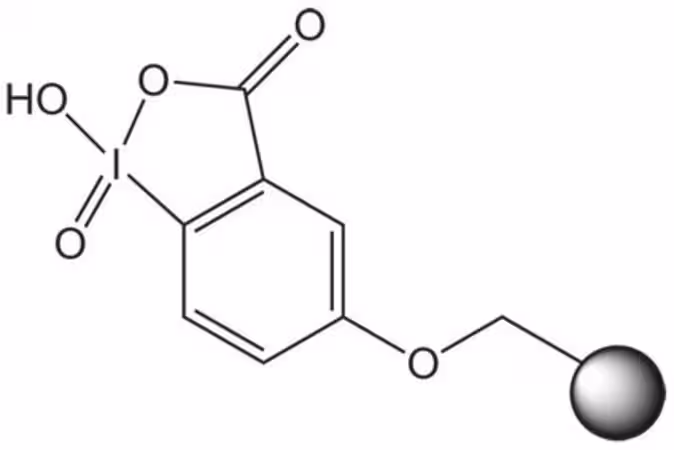 IBX POLYSTYRENE 25 G pack 1X1EA