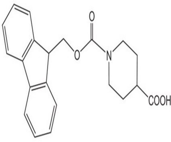 FMOC-ISN-OH 100 G pack 1X1EA