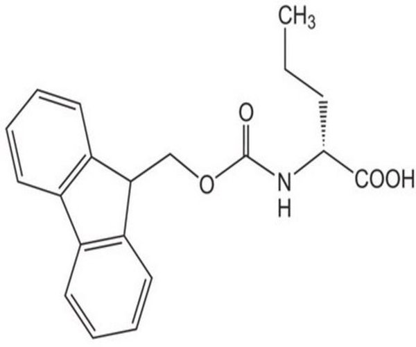 FMOC-D-NVA-OH 1 KG pack 1X1EA