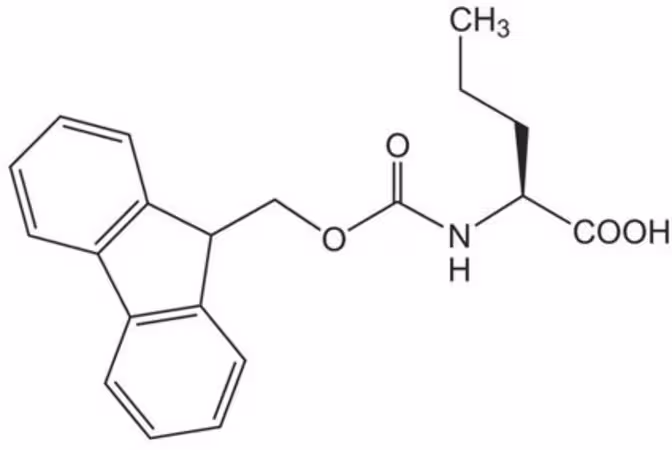 FMOC-NVA-OH 1 KG pack 1X1EA