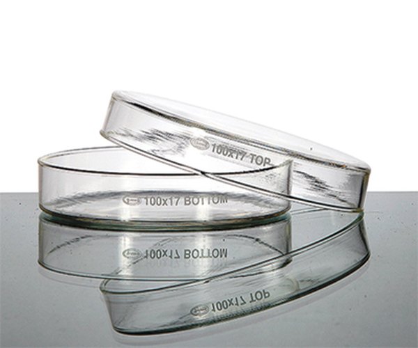 Caja Petri 80 mm, borosilicato 10 uds