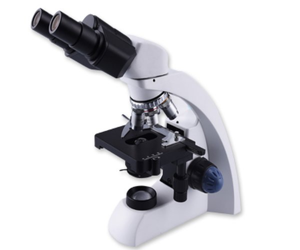 MICROSCOPIO BINOCULAR, SERIE E
