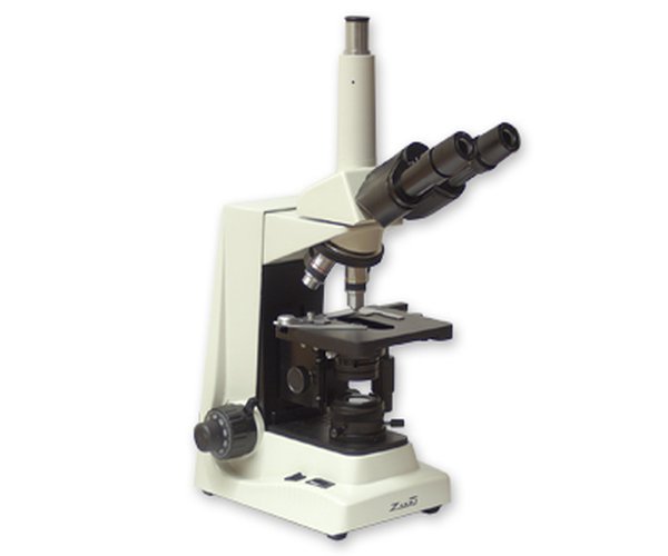MICROSCOPIO TRIOCULAR, OPT. INFINITO, 138/8
