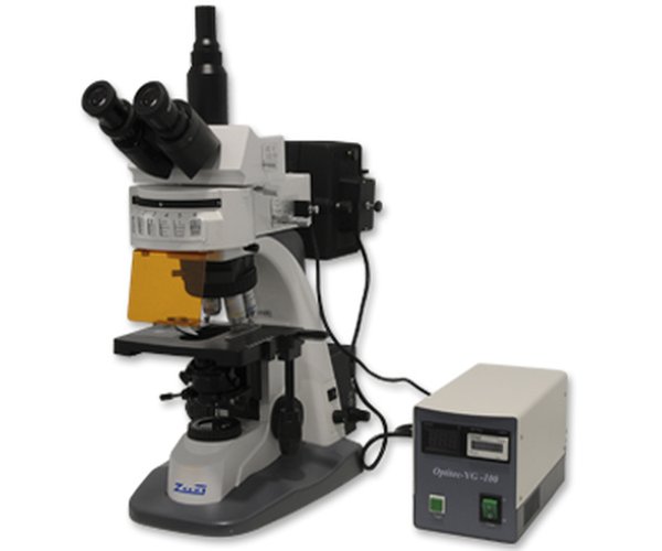 MICROSCOPIO EPIFLUORESCENCIA 158/358