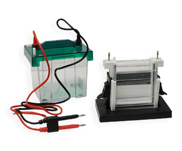 Cubeta electroforesis vertical, 82x82 mm