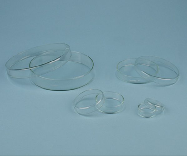 Caja Petri 60 mm, altura 12 mm 18 uds