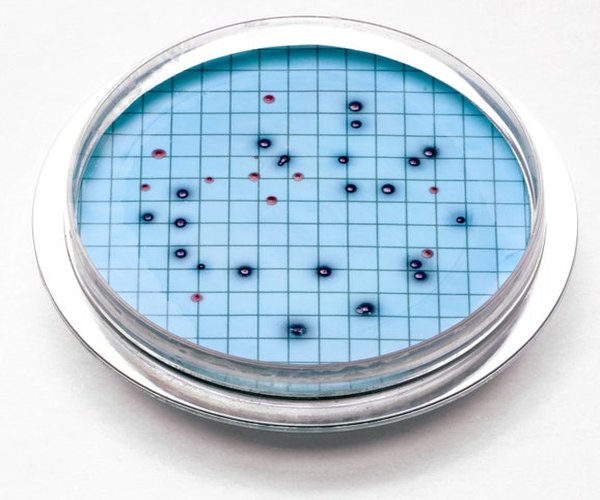 Coliformes totales + E.Coli AGAR PL 47mm,pk 15, M Coli Blue 24 (EPA)