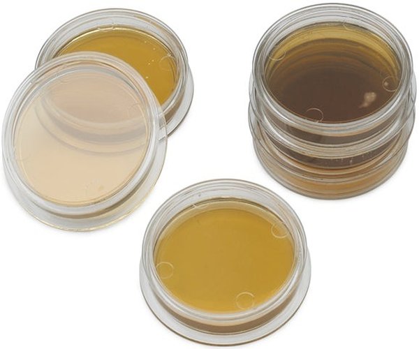 M-EI AGAR PLATES, PK/15