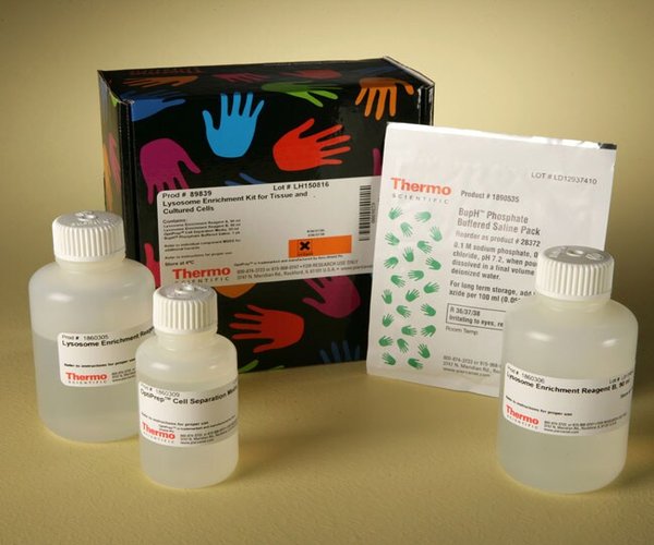 Thermo Scientific™ Lysosome Enrichment Kit for Tissues and Cultured Cells