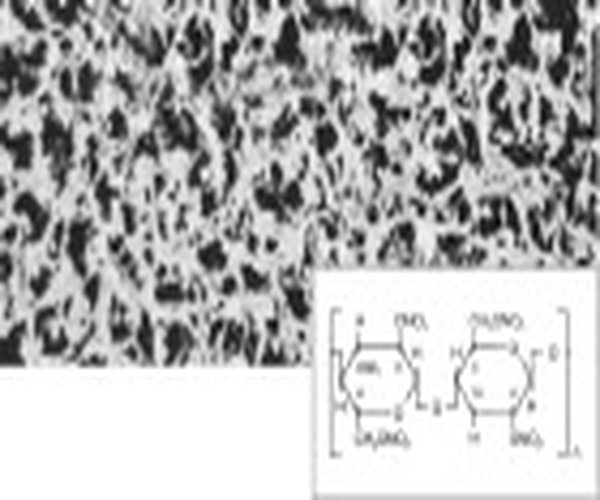CN membrane_ 0.45 µm_ 90 mm, 100 pcs.