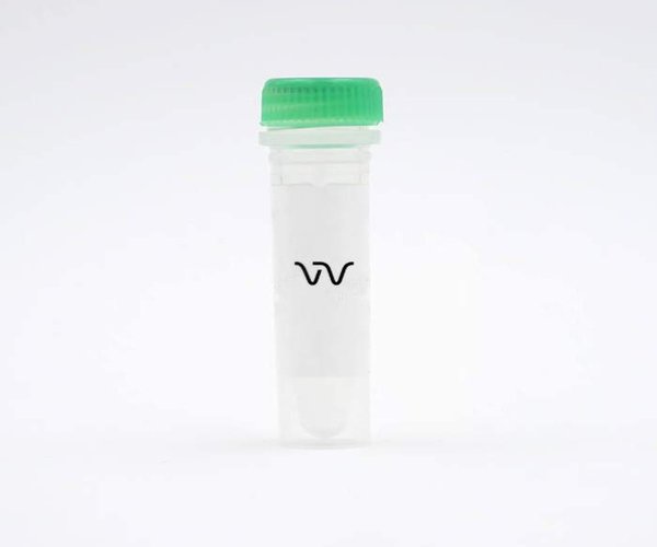 HTRF JAK1 P-Y1034/35 KIT - CTRL LYSATE
