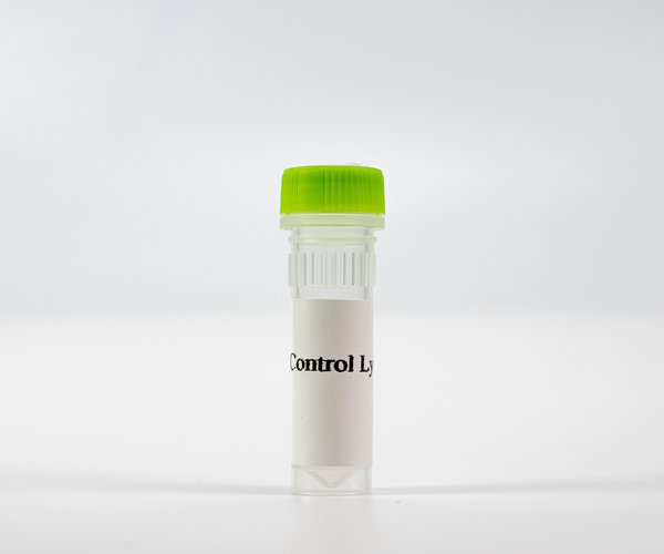 HTRF SLP-76 P-Y145 KIT - CTRL LYSATE