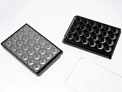Placa de fondo de vidrio de 24 pocillos con cubierta de vidrio de alto rendimiento n.° 1.5 PAQUETE D - Cellvis - Placas multiwell - Placas y matraces de cultivo celular - P24-1.5H-N-0