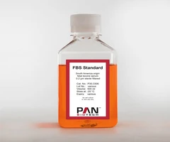 FBS Standard, South America origin, fetal bovine serum, 0.2 µm sterile filtered 500mL - PAN BIOTECH - Sueros - Reactivos y medios de cultivo celular - P30-3306-0
