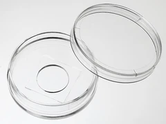 PLACA DE 35 MM CON FONDO DE VIDRIO Y MICROPOZO DE 14 MM. 100 UNIDADES POR CAJA. - Cellvis - Placas de Petri - Placas y matraces de cultivo celular - D35-14-0-N-0