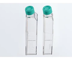 Frascos de cultivo celular 75 cm², 250 ml, esteriles, superficie tratada, cap vent pack 100 - PQN Essentials - Frascos de cultivo - Placas y matraces de cultivo celular-1