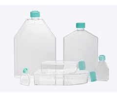 Frascos de cultivo celular 75 cm², 250 ml, esteriles, superficie tratada, cap vent pack 100 - PQN Essentials - Frascos de cultivo - Placas y matraces de cultivo celular-4