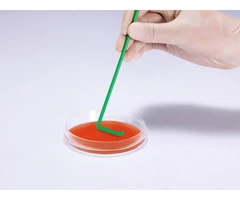 Asa Digralsky esteril envase individual pack 100 - PQN Essentials - Asas de siembra - Otros consumibles de microbiología-0