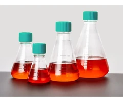 Erlenmeyer PETG Sin tratamiento Libre de ADNasa/ARNasa No pirógeno 125 ml Esterilizado para ventilac - PQN Essentials - Plástico-Matraces - Erlenmeyer - Plástico-0