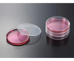 Placa de Petri de 90 mm, paquete no estéril de 500 unidades - PQN Essentials - Placas Petri - Placas Petri-2