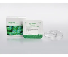 Frasco para cultivo de tejidos CellDetach de 600 ml, tapón de cierre estéril, paquete de 20 unidades - PQN Essentials - Frascos de cultivo - Placas y matraces de cultivo celular-1