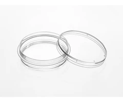Placas para FIV de 4 pocillos, sin tratamiento, estériles, paquete de 100 unidades. - PQN Essentials - Placas multiwell - Placas y matraces de cultivo celular-3