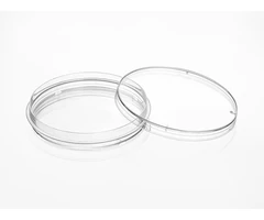 Placas para FIV de 4 pocillos, sin tratamiento, estériles, paquete de 100 unidades. - PQN Essentials - Placas multiwell - Placas y matraces de cultivo celular-5