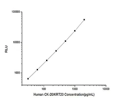 Synaptophysin Rabbit Monoclonal Antibody - 20uL - Assay Genie - Anticuerpos primarios