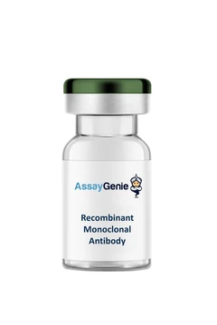 Mouse Anti-PD-1 (CD279) [RMP1-14] Recombinant Monoclonal Antibody (5mg) - Assay Genie - Anticuerpos primarios