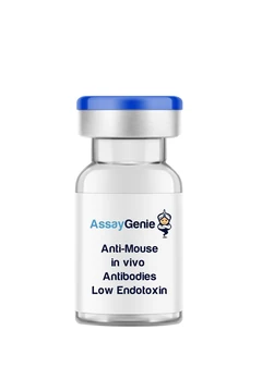 Anti-Mouse CD4 [GK1.5] In Vivo Antibody-Low Endotoxin, 5mg - Assay Genie - Anticuerpos primarios